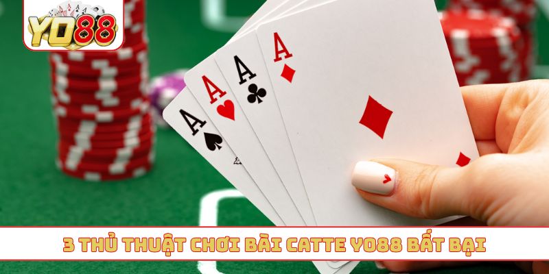 3 thủ thuật chơi bài catte YO88 bất bại