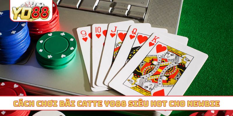 Cách chơi bài catte YO88 siêu hot cho newbie