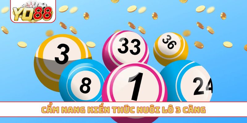 Cẩm nang kiến thức nuôi lô 3 càng