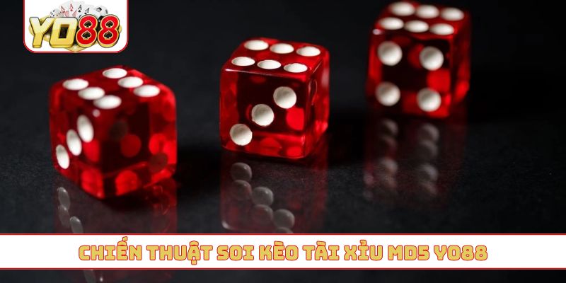 Chiến thuật soi kèo tài xỉu MD5 YO88