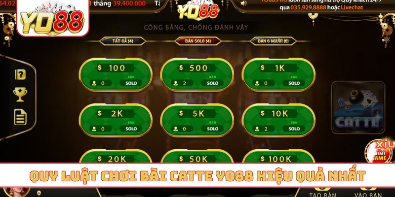 Quy luật chơi bài catte YO88 hiệu quả nhất